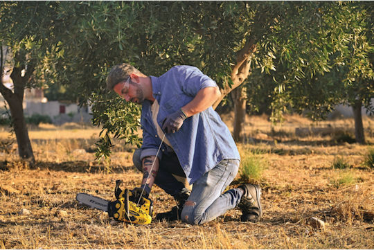 Κλαδευτικό Αλυσοπρίονο Βενζίνης F.F. Group GCS125T Easy 25.4cc με Λάμα 25cm ΑΓΡΟΣ - ΚΗΠΟΣ