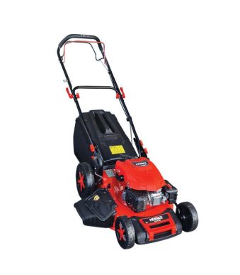 ΧΛΟΟΚΟΠΤΙΚΟ ΒΕΝΖΙΝΗΣ MIYAKE XL65 AUT (226202) ΑΓΡΟΣ - ΚΗΠΟΣ